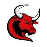 Telegram profile photo for Bullish Bull Call