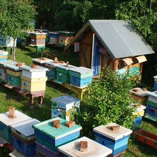 Telegram profile photo for ДЕРЕВЕНСКАЯ ПАСЕКА🐝☘
