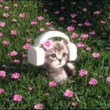 Telegram profile photo for Дневник DorMoras 💗