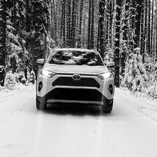 Telegram profile photo for Toyota RAV4 5 XA50
