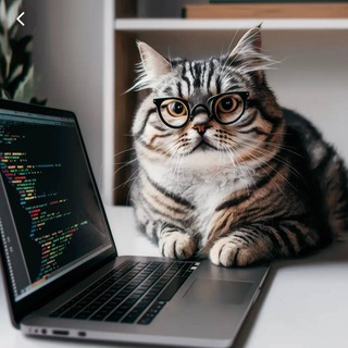 Telegram profile photo for Natalie IT MyCAT.digital DevelopersTeam