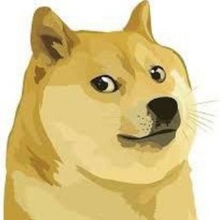 Telegram profile photo for DOGE META official