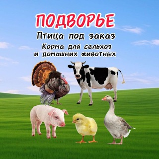 Telegram profile photo for ПОДВОРЬЕ 🐣🐓🦆🦃 Акимовка