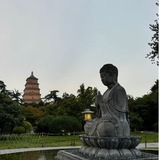 Telegram profile photo for 小星 探花阁专属地陪频道