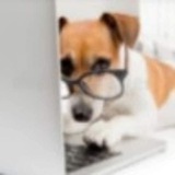 Telegram profile photo for сел барыжит
