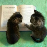 Telegram profile photo for катион переводит📖