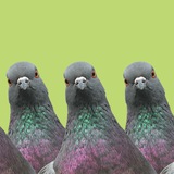 Telegram profile photo for Всратые рассылки