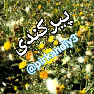 Telegram profile photo for کانال پیرکندی