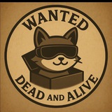 Telegram profile photo for schrodingerspet