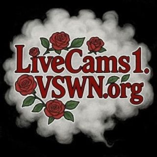 Telegram profile photo for 📢 VirtualStr8PnP.com 🌬Spun Alerts🔥