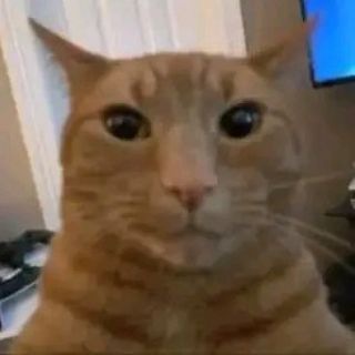Telegram profile photo for Aghisna Chest