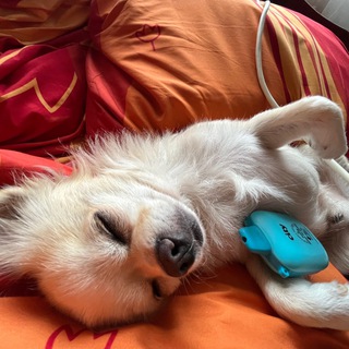 Telegram profile photo for аллочка рыбочка