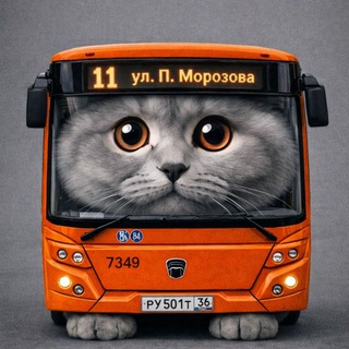 Telegram profile photo for –𝙆𝙖𝙡𝙞𝙣𝙞𝙣𝙜𝙧𝙖𝙙 𝙗𝙪𝙨 𝙛𝙡𝙚𝙚𝙩 𝙘𝙤𝙣𝙛𝙚𝙨𝙨𝙞𝙤𝙣 🚌