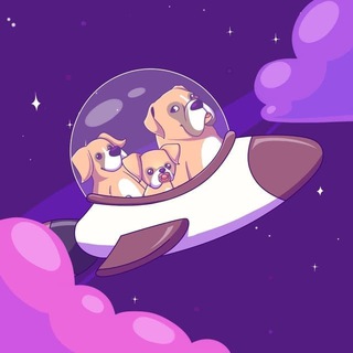 Telegram profile photo for Boxer Ecosystem Announcements