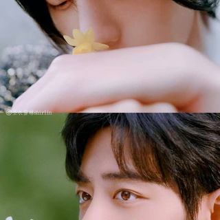 Telegram profile photo for Chinese Movie channel
