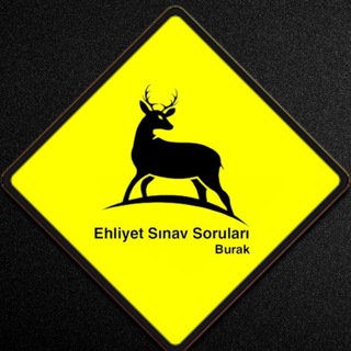 Telegram profile photo for Ehliyet Sınav Soru Paylaşımı
