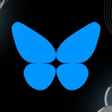 Telegram profile photo for 🦋𝘽𝙪𝙩𝙩𝙚𝙧𝙛𝙡𝙮 𝙋𝙧𝙤𝙟𝙚𝙘𝙩𝙨🦋