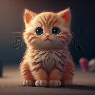 Telegram profile photo for У меня котёнок!