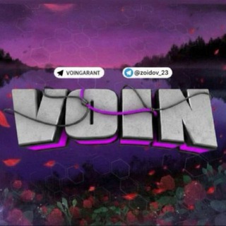 Telegram profile photo for VOIN GARANT