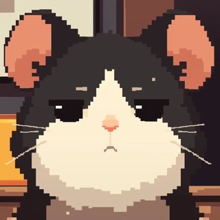 Telegram profile photo for 𝐖𝐞𝐱 𝐂𝐨𝐦𝐦𝐮𝐧𝐢𝐭𝐲 🌉