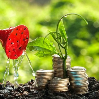 Telegram profile photo for WealthBuilder