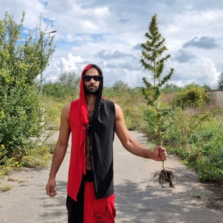 Telegram profile photo for David Comrad
