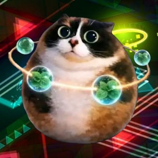 Telegram profile photo for Котость Ботость