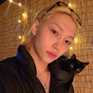 Telegram profile photo for рест gātto felíce