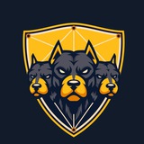 Telegram profile photo for Cerberus Node