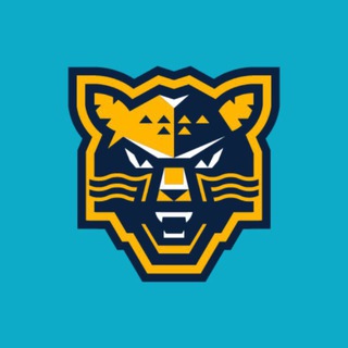Telegram profile photo for 🔥Сочи.Огонь.🔥| KHL VIAR