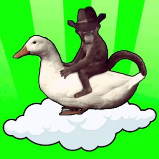 Telegram profile photo for $XP Main channel