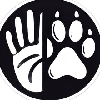 Telegram profile photo for WildLifeKeeperTest