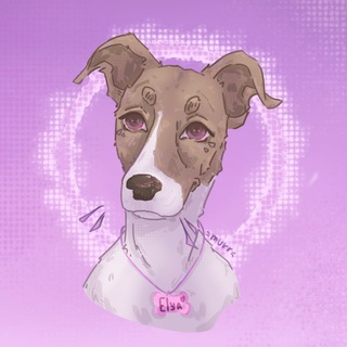 Telegram profile photo for DAN | ᴀдᴩᴇᴄниᴋи