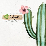 Telegram profile photo for صـــبـــارة. 🌵