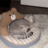 Telegram profile photo for Переходник в канал