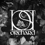Telegram profile photo for Раны (январь 2027)