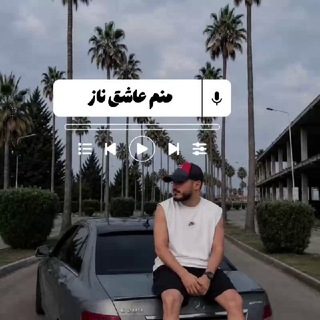 Telegram profile photo for Bezanim Ziresh?🚸