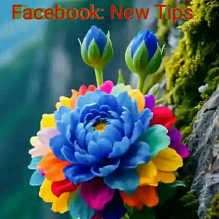 Telegram profile photo for Ethiopian Tips®