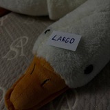Telegram profile photo for LARGO_usernames