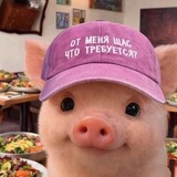 Telegram profile photo for меморис