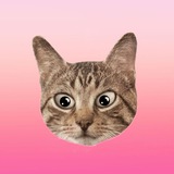 Telegram profile photo for ГАЛАВА
