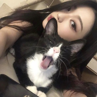 Telegram profile photo for murmur