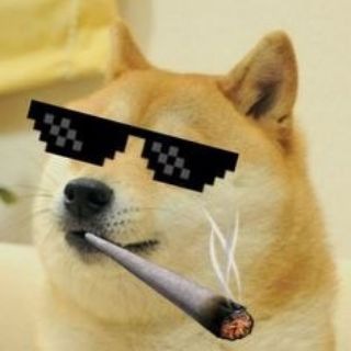 Telegram profile photo for Galaxy of Memes✨
