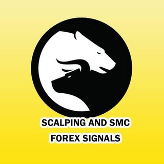 Telegram profile photo for Scalper King VIP Weekly Results