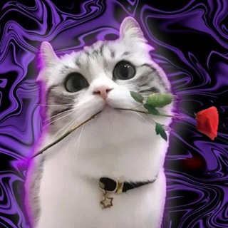 Telegram profile photo for classivk Minecraft x Fold craft launcher