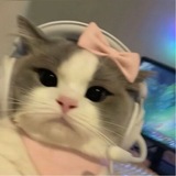Telegram profile photo for سَاجي