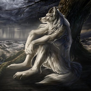 Telegram profile photo for alex666cs
