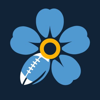 Telegram profile photo for Незабудки 🏈 Флаг-футбол Санкт-Петербург