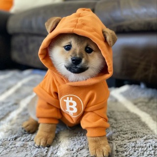 Telegram profile photo for DOG•GO•TO•THE•MOON
