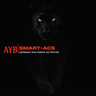 Telegram profile photo for SMART-ACS.RU